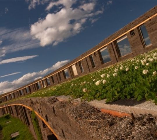 Hotel Altiplanico Sur