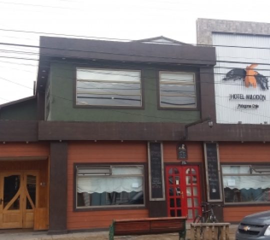 Hotel Milodon