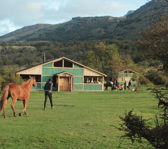 Refugio Pingo Salvaje